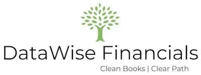 DataWise Financials Logo